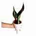 Paşa Kılıcı - Sansevieria Trifasciata Kırçıllı Beyaz Zoe